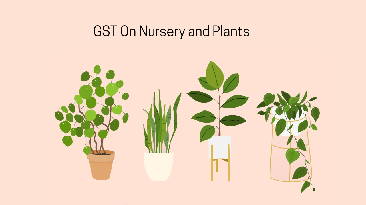 GST rates on Plants