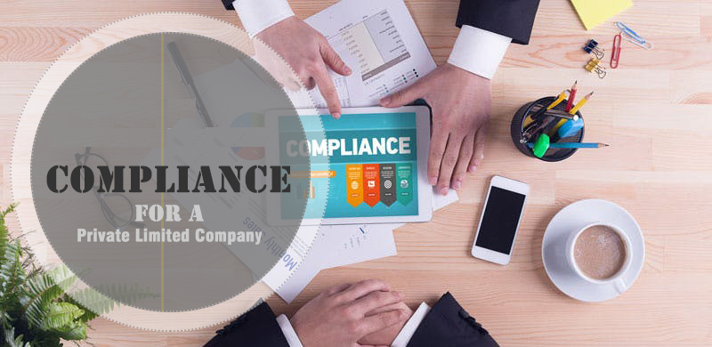 Annual Compliance for Privet limited Company